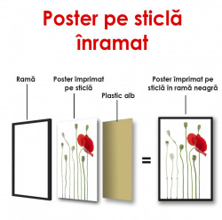 Poster, Macul roșu pe un fundal alb