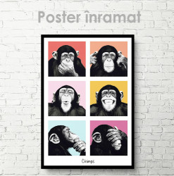 Poster, Maimuțe drăguțe