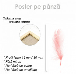 Poster, Pană roz