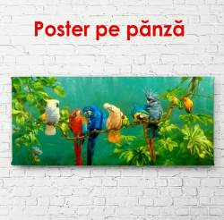 Poster, Papagali multicolor