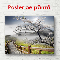 Poster, Peisaj de primăvară