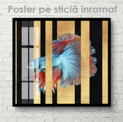 Poster, Pește albastru cu aripioare roșii