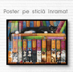 Poster, Pisici și cărțile