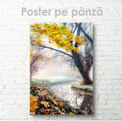 Poster, Râul din pădure