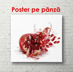 Poster, Rodia pe fundal alb