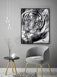 Poster, Tigru alb-negru