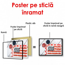 Poster, Tortul cu steag american