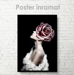 Poster, Trandafir Roz Glamour