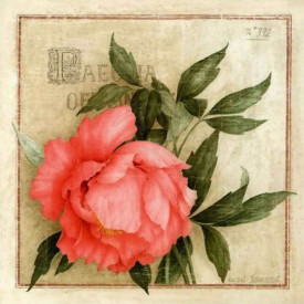 Poster, Trandafirul roz pe fundal verde