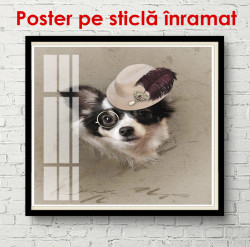 Poster, Un câine cu ochelari