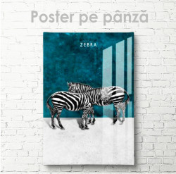Poster, Zebre pe un fundal turcoaz