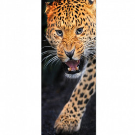 Roll-up, Leopardul furios