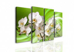 Tablou modular, Orhidee albă pe un fundal verde.