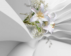 Fototapet 3D, Crini albi pe un fundalul de mătase albă