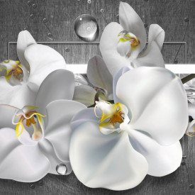Fototapet 3D, O orhidee albă pe un fundal gri