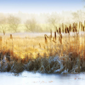 Fototapet,Natura toamna