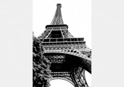 Fototapet, Turnul Eiffel alb-negru