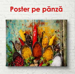 Poster, Condimente strălucitoare și aromate în linguri