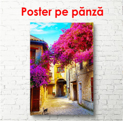 Poster, Copaci roz pe fundalul unei curți vechi