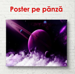 Poster, Cosmos violet