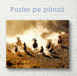 Poster, Cowboys în deșert