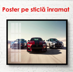 Poster, Cursă de mașini
