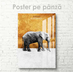 Poster, Elefant pe fundal auriu