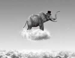 Poster, Elefantul alb-negru în nori
