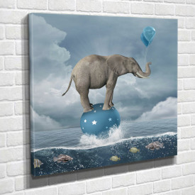 Poster, Elefantul pe o minge albastră