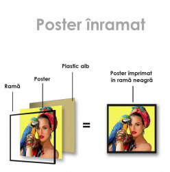 Poster, Fata cu papagal