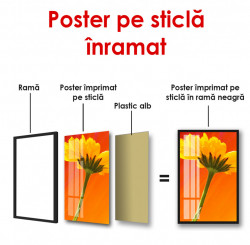 Poster, Floarea galbenă