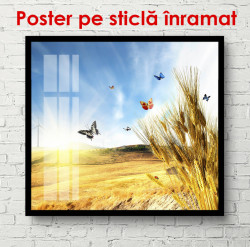 Poster, Fluturii peste un câmp de grâu