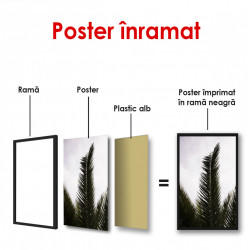 Poster, Frunză de palmier