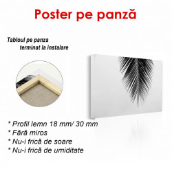 Poster, Frunze de palmier pe un fond gri