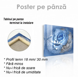 Poster, Lagună albastră