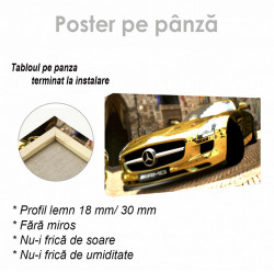 Poster, Mercedes de aur