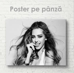 Poster, Model