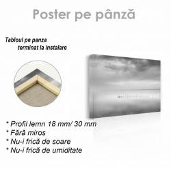 Poster, Peisajul lacului gri
