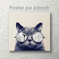 Poster, Pisică de modă