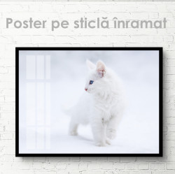 Poster, Pisicuta alba