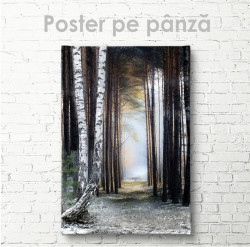 Poster, Poteca din pădure