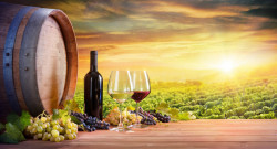 Poster, Sticlă de vin la apusul soarelui
