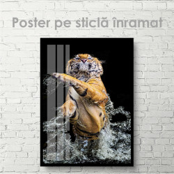 Poster, Tigrul grațios