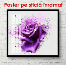 Poster, Trandafiri violeți delicați