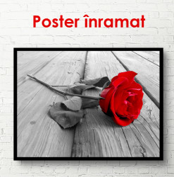 Poster, Trandafirul roșu