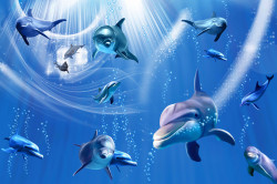 Fototapet, Delfinii sub apă