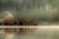 Fototapet, Lacul de lângă pădure