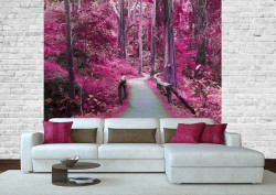 Fototapet, Pădurea roz