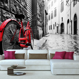Fototapet, Peisajul alb-negru cu o bicicletă roșie