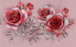 Fototapet, Trandafiri roșii pe un fundal roz
